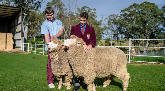 Two boys holding a sheep on a school farm.