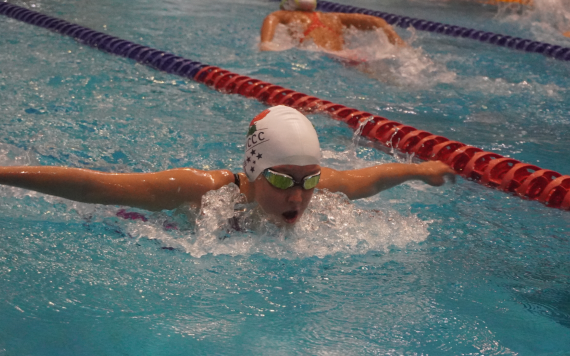 A swimmer doing the butterfly stroke.