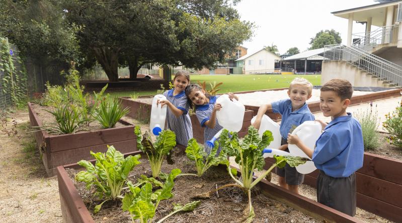 Kids in the garden at a school.